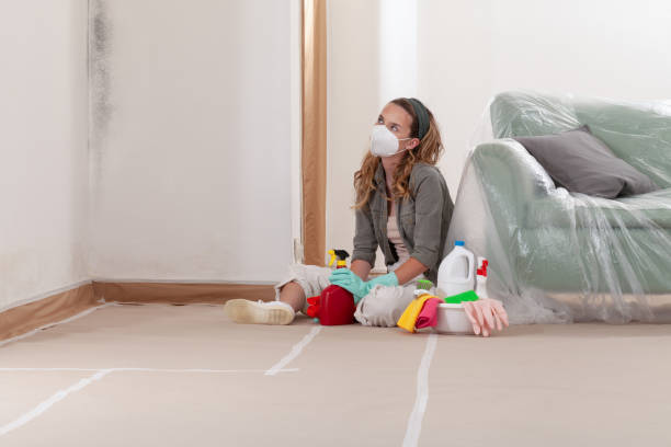 Reliable Bathroom Mold Removal contractor in Kingston, IL by WQB Mold Removal